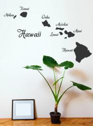 Hawaii L