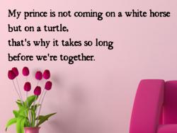 Prince on a turtle L