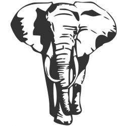 Elefant L