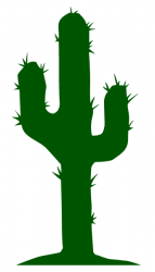 Kaktus XL